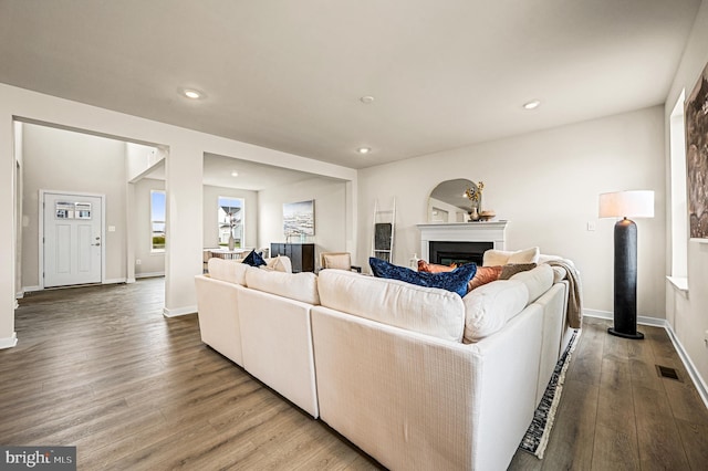 living room with wood-type flooring