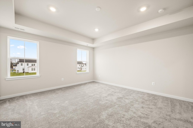 spare room featuring a raised ceiling and carpet floors