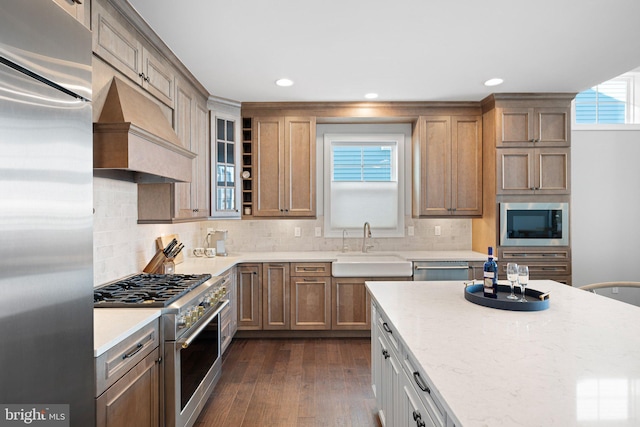 kitchen featuring stainless steel appliances, premium range hood, decorative backsplash, dark wood-style floors, and glass insert cabinets