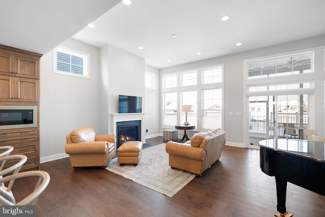 living room featuring dark hardwood / wood-style floors