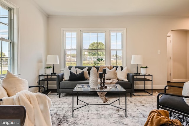 living room featuring ornamental molding and light hardwood / wood-style floors