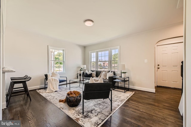 living room with dark wood-type flooring