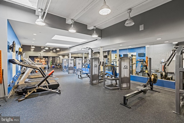 workout area with a skylight