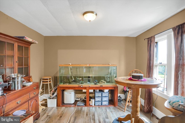 dining area with light hardwood / wood-style floors, a wealth of natural light, and a textured ceiling