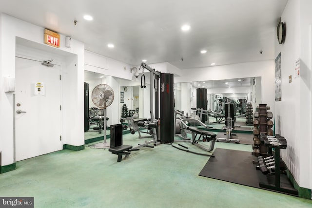 exercise room featuring carpet floors