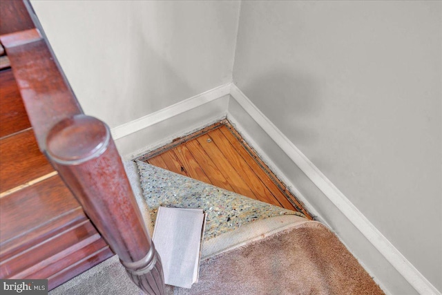 staircase featuring carpet