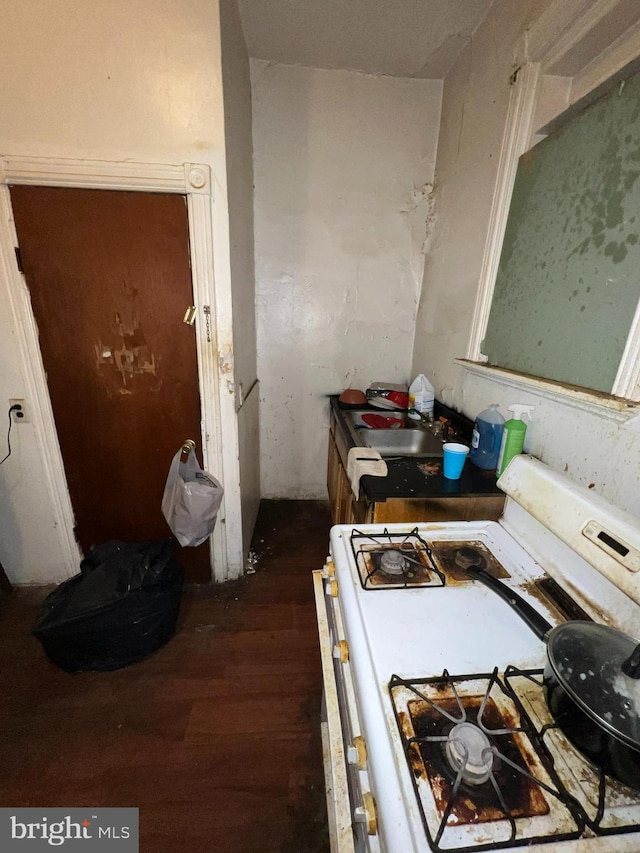 miscellaneous room featuring sink and dark hardwood / wood-style floors