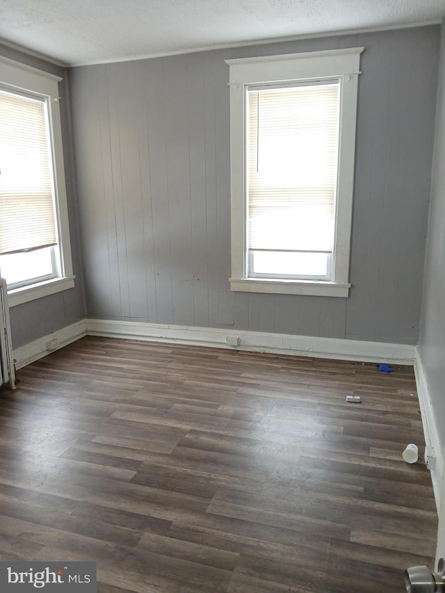 empty room featuring a healthy amount of sunlight, dark hardwood / wood-style floors, and wood walls