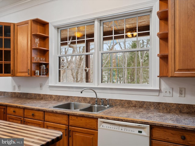 kitchen with white dishwasher, sink, and crown molding