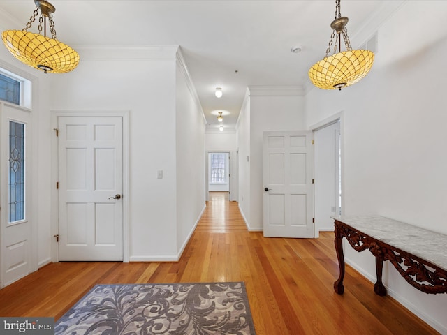 entrance foyer featuring ornamental molding, a healthy amount of sunlight, and hardwood / wood-style floors