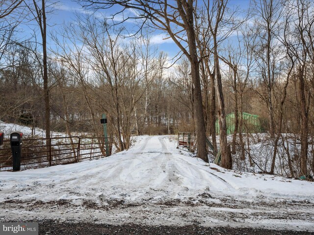 view of snowy yard