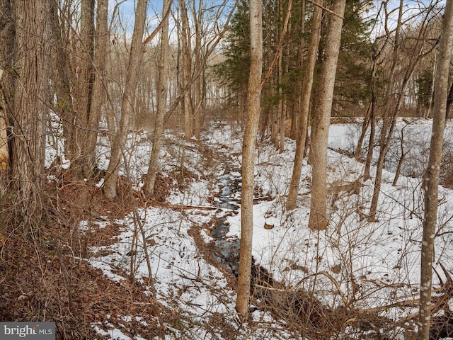 view of snowy view