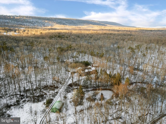 snowy aerial view featuring a mountain view