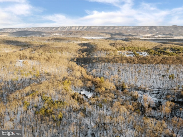 bird's eye view featuring a mountain view