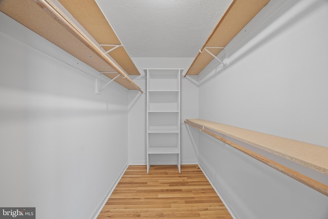 walk in closet with light hardwood / wood-style floors