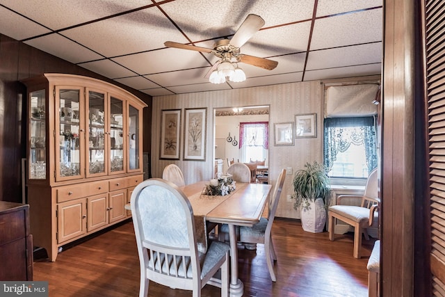 dining area with ceiling fan, a paneled ceiling, and dark hardwood / wood-style floors