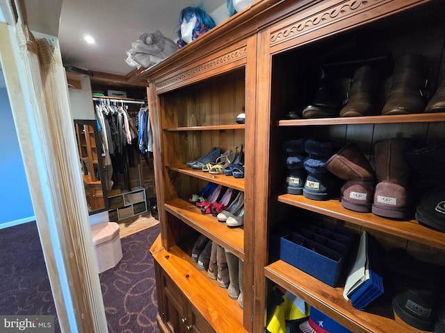 view of spacious closet