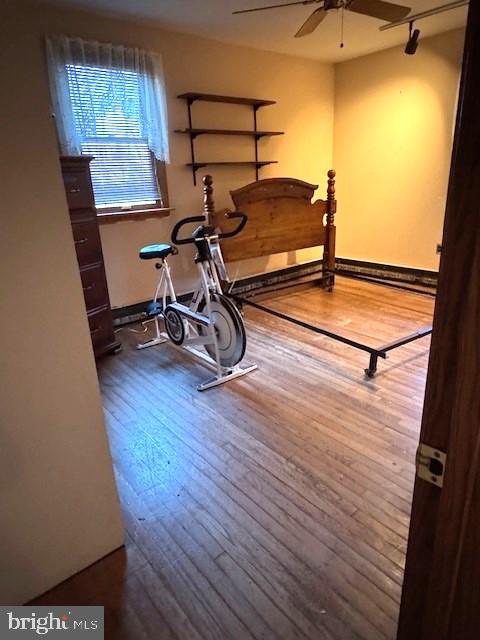 workout room featuring ceiling fan and wood finished floors