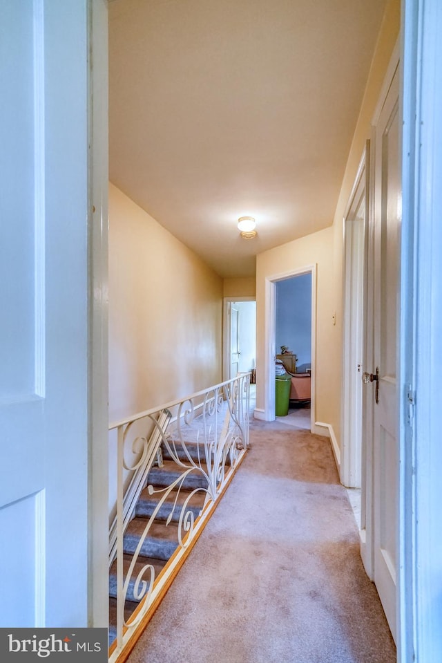 hall featuring light colored carpet