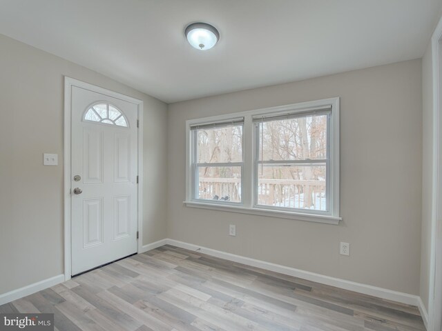 entrance foyer featuring light hardwood / wood-style floors and a healthy amount of sunlight