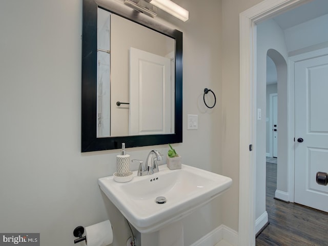 bathroom featuring sink and wood-type flooring