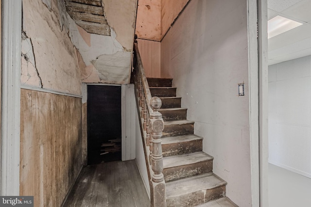 stairs featuring hardwood / wood-style flooring