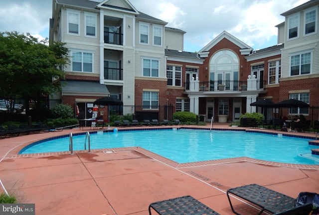 view of pool featuring a patio