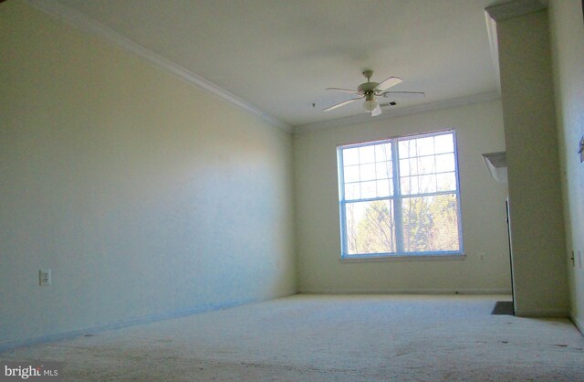 unfurnished room featuring ceiling fan, ornamental molding, and light colored carpet