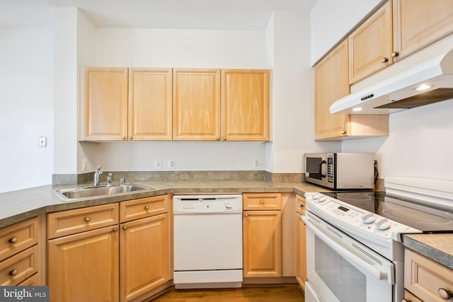 kitchen featuring white appliances, sink, and light brown cabinets