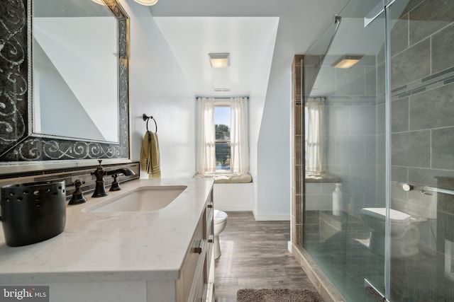 bathroom featuring toilet, a shower with door, hardwood / wood-style floors, and vanity