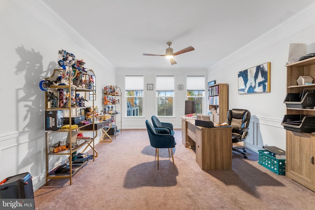 office with ceiling fan, ornamental molding, and carpet