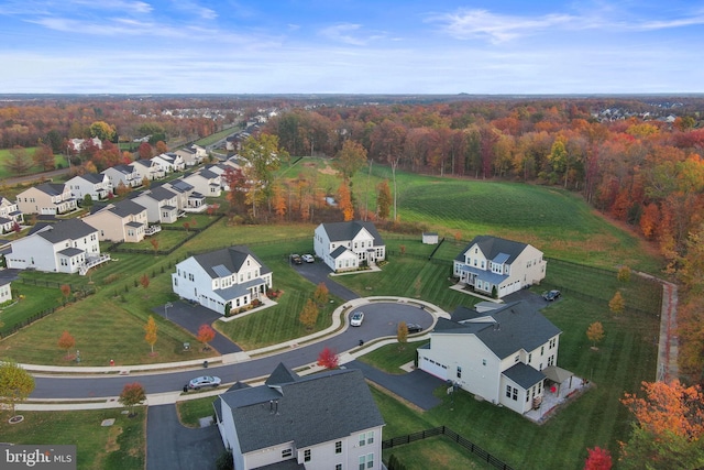 bird's eye view