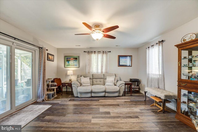 living room featuring ceiling fan, a wealth of natural light, and dark wood-type flooring