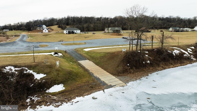 view of yard with a view of trees