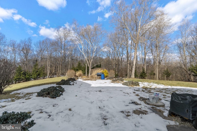 yard covered in snow featuring a forest view