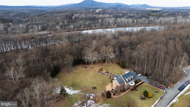 bird's eye view featuring a forest view and a mountain view