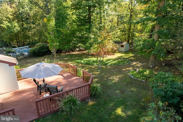 view of yard featuring a deck and a storage shed