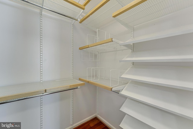 spacious closet featuring dark hardwood / wood-style flooring