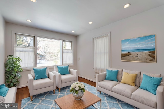 living room featuring hardwood / wood-style flooring