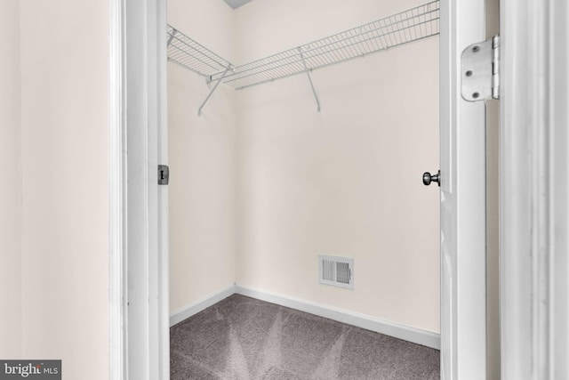 spacious closet with visible vents and carpet flooring