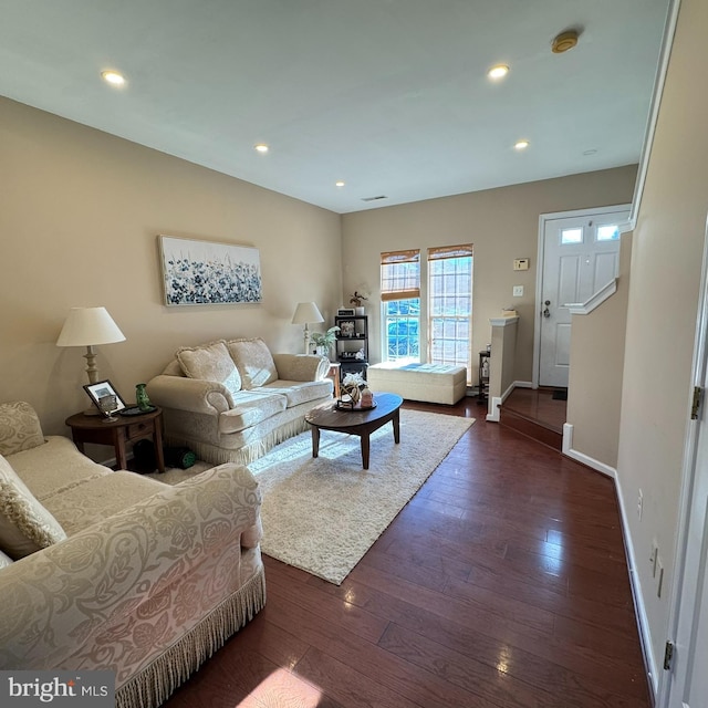 living room featuring dark wood-type flooring