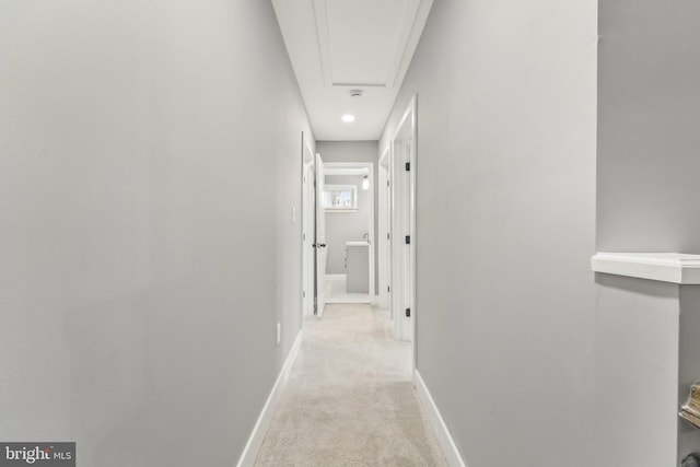 hallway with light carpet