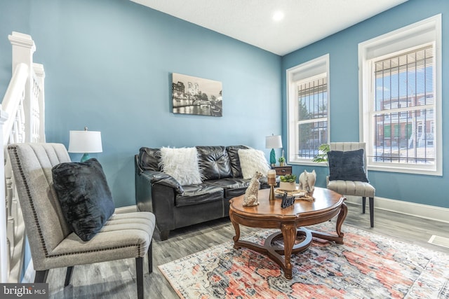 living room featuring hardwood / wood-style flooring