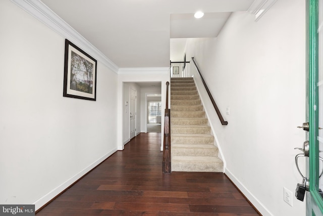 foyer with dark wood-type flooring and crown molding