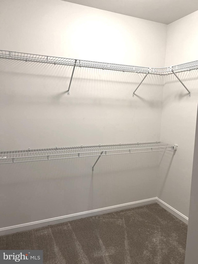 walk in closet with dark carpet