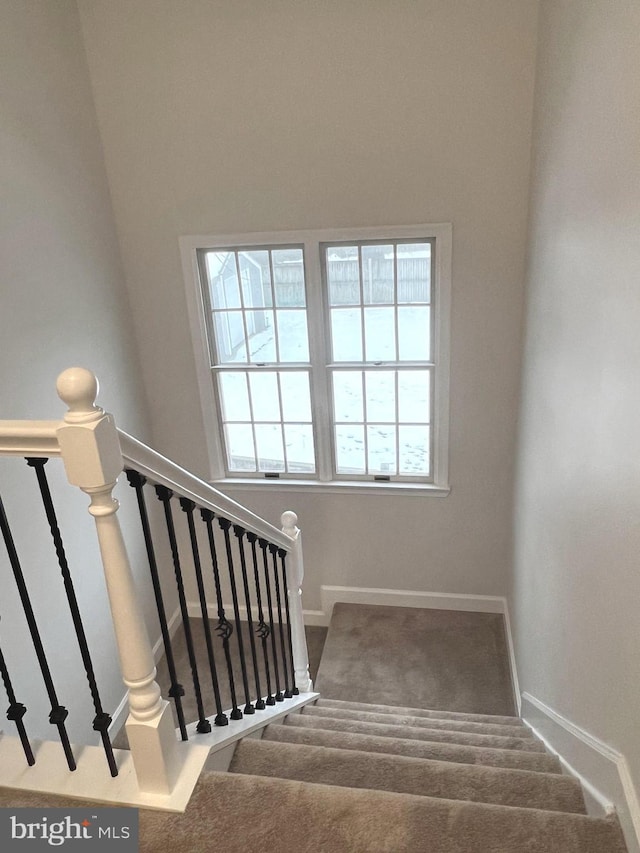 staircase featuring carpet