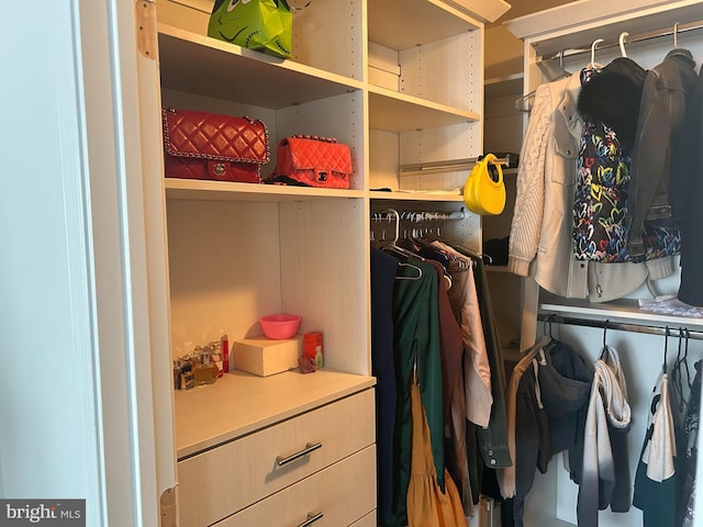 view of spacious closet