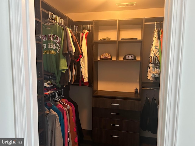 view of spacious closet