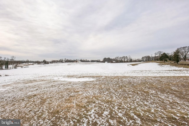 view of yard layered in snow