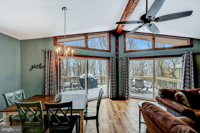 dining room featuring lofted ceiling with beams, light wood-type flooring, and ceiling fan with notable chandelier